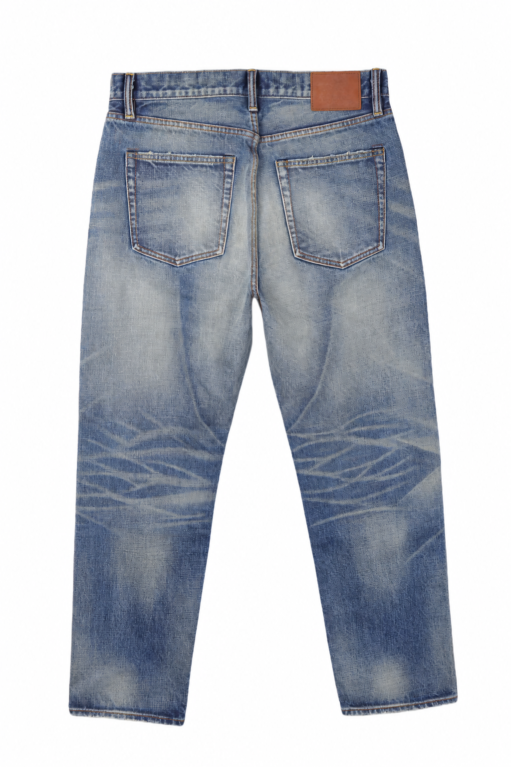 Blue / whisker contrast — back view